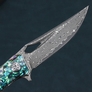 Caibei Dalbergia Wood Handle Damascus Steel Folding Knife